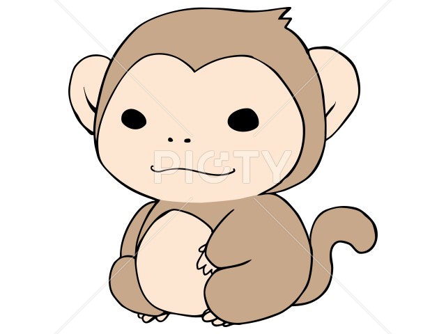 写真のタイトルが入ります