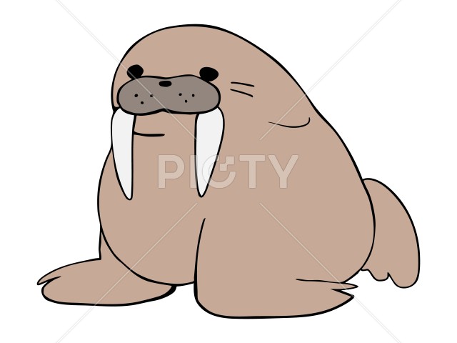 写真のタイトルが入ります