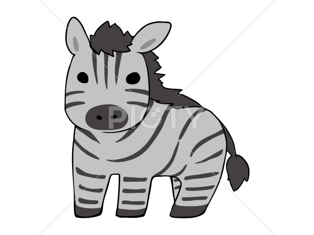 写真のタイトルが入ります