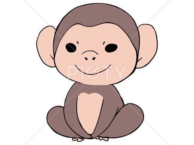 写真のタイトルが入ります