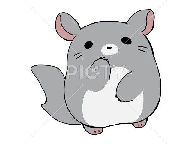 写真のタイトルが入ります