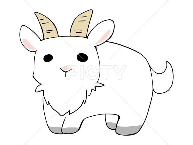 写真のタイトルが入ります