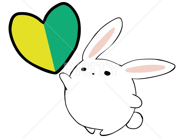 写真のタイトルが入ります