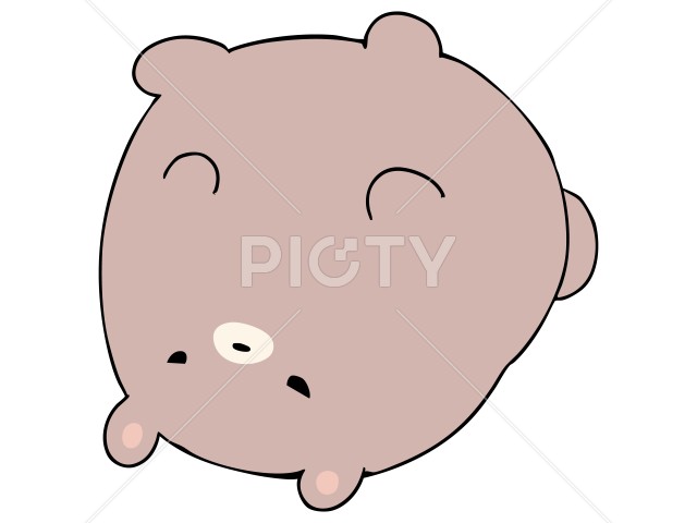 写真のタイトルが入ります