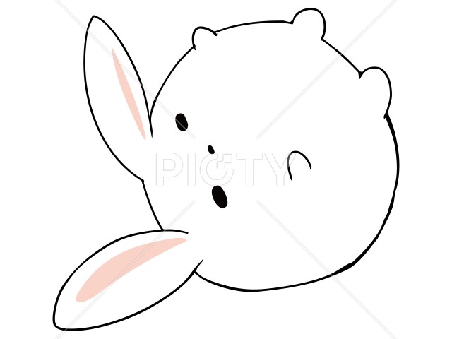 写真のタイトルが入ります