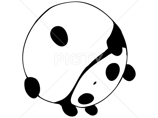 写真のタイトルが入ります