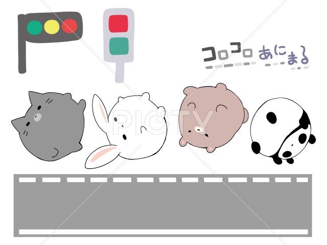 写真のタイトルが入ります