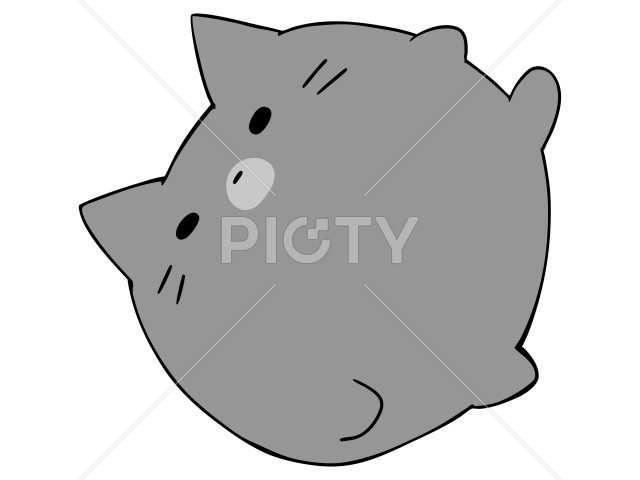 写真のタイトルが入ります