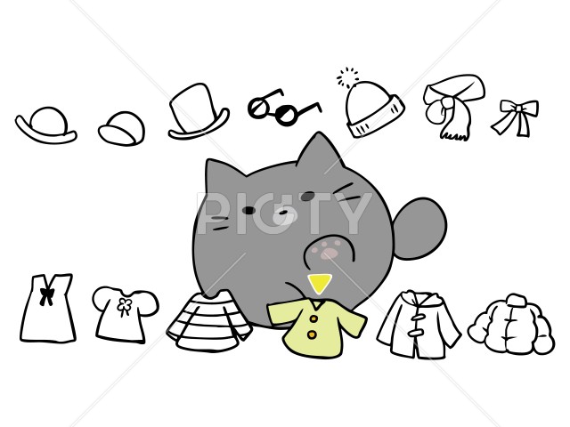 写真のタイトルが入ります