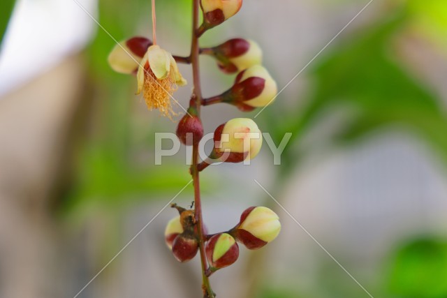 写真のタイトルが入ります