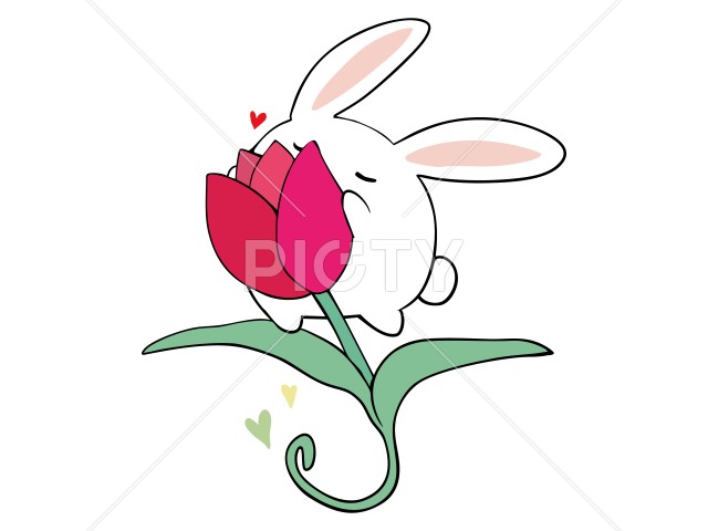 写真のタイトルが入ります