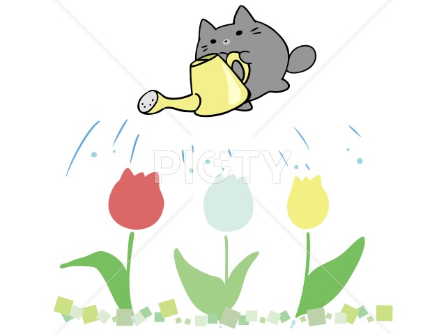 写真のタイトルが入ります