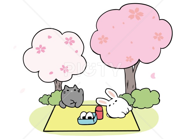 写真のタイトルが入ります