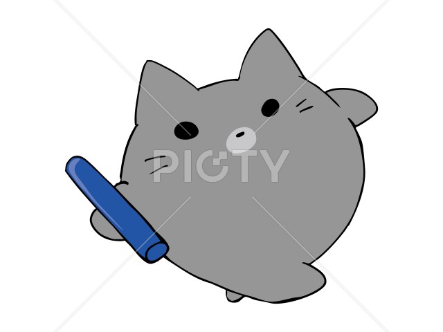 写真のタイトルが入ります