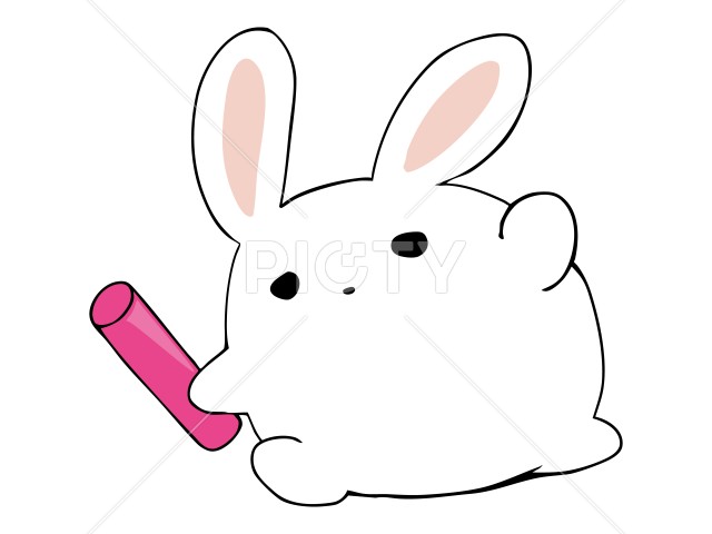 写真のタイトルが入ります