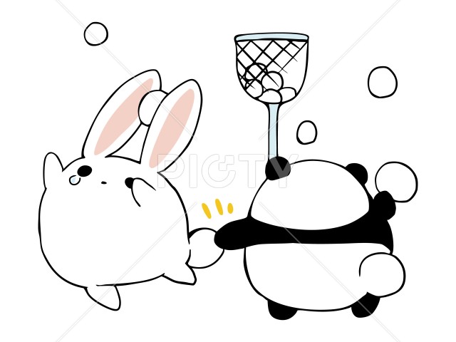 写真のタイトルが入ります