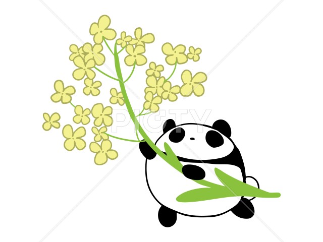 写真のタイトルが入ります