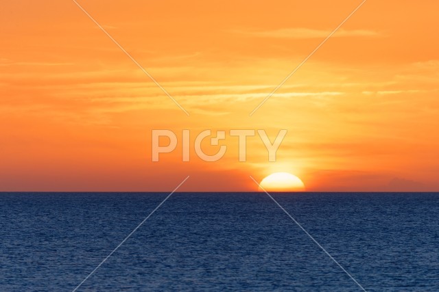 写真のタイトルが入ります