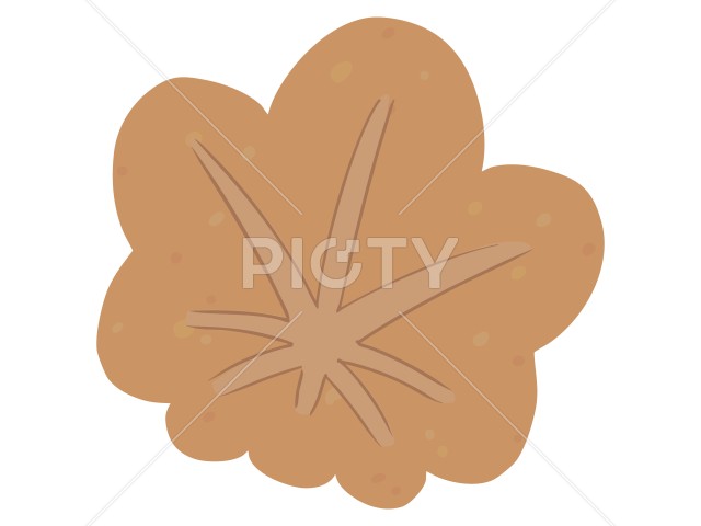 写真のタイトルが入ります