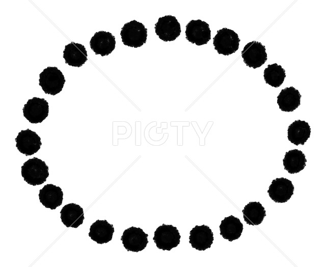 写真のタイトルが入ります