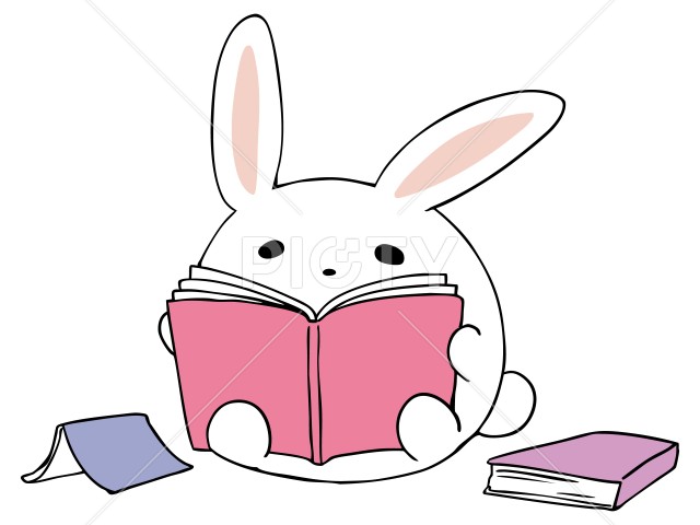 本を読む うさぎ