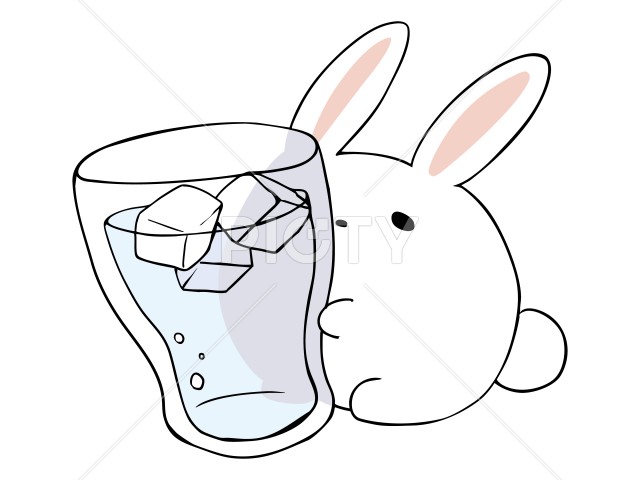 うさぎ お冷