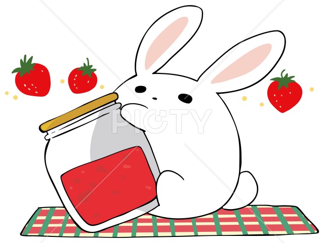 写真のタイトルが入ります