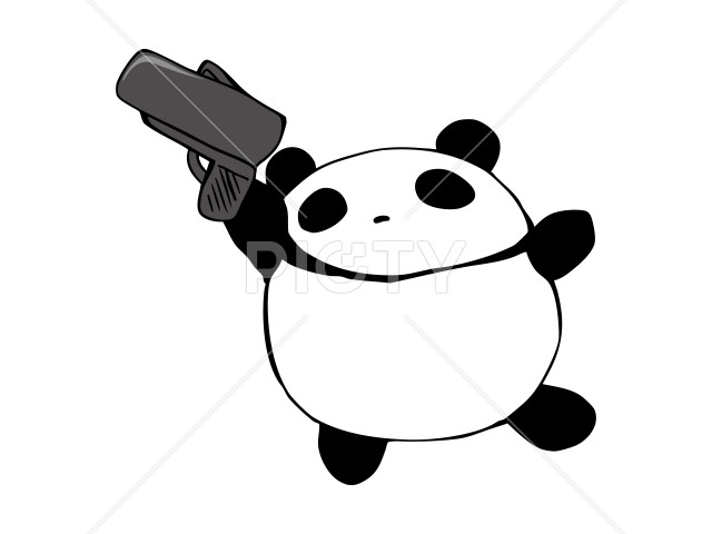 写真のタイトルが入ります