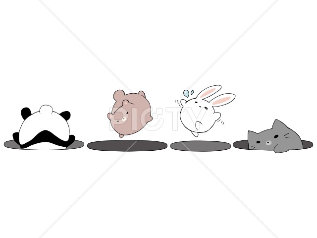 写真のタイトルが入ります