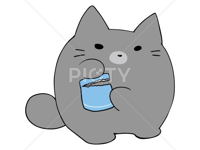 写真のタイトルが入ります