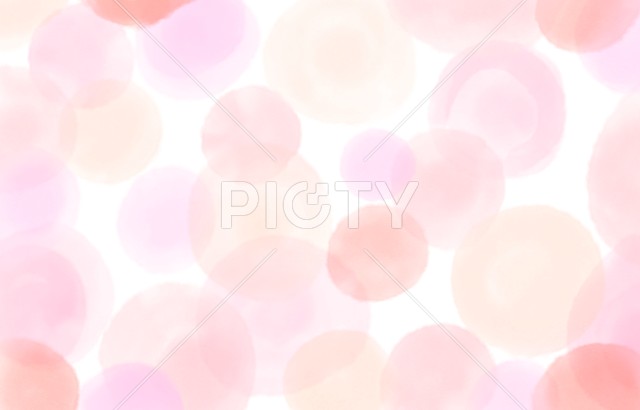 写真のタイトルが入ります