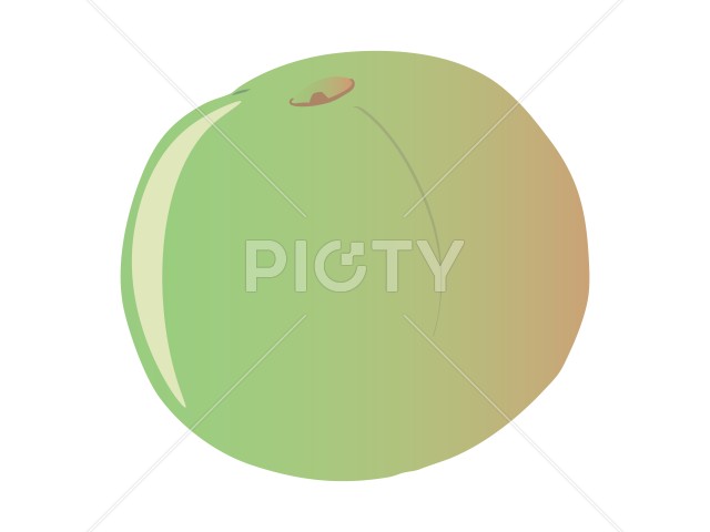 梅 主線なし 和歌山県