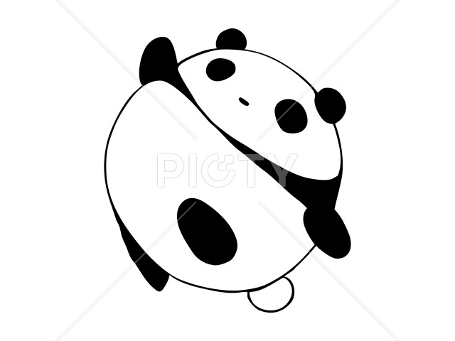 写真のタイトルが入ります