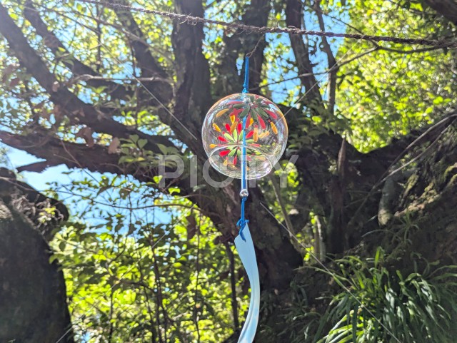 夏の陽光に透ける色鮮やかなガラス風鈴と新緑の背景