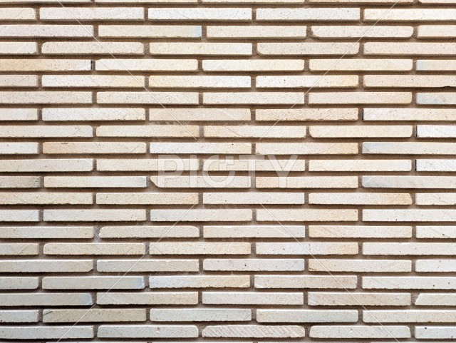 写真のタイトルが入ります