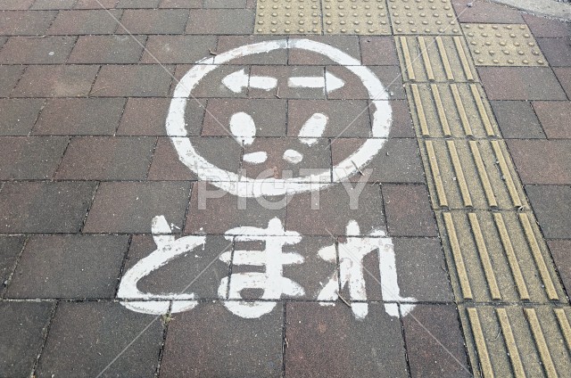 写真のタイトルが入ります