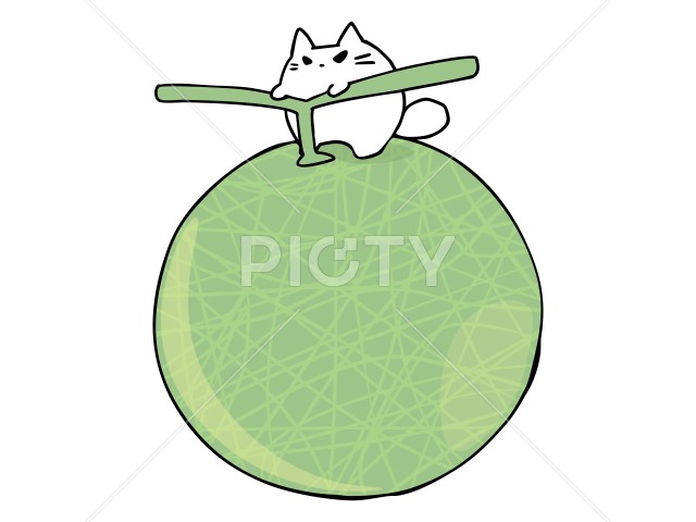 メロン 網目 北海道 ねこ