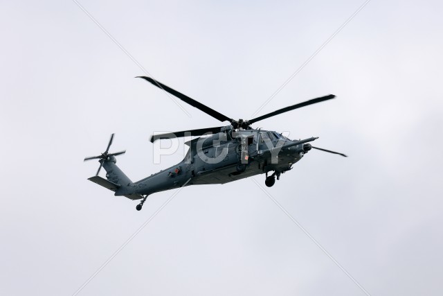 写真のタイトルが入ります