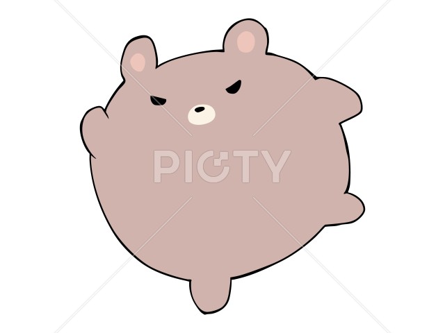 写真のタイトルが入ります