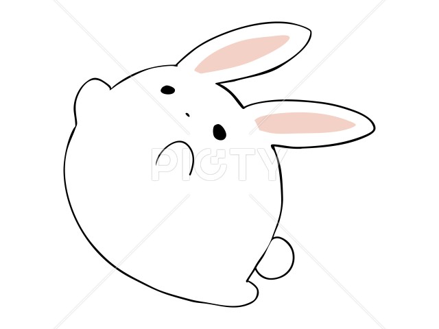 ダッシュ うさぎ