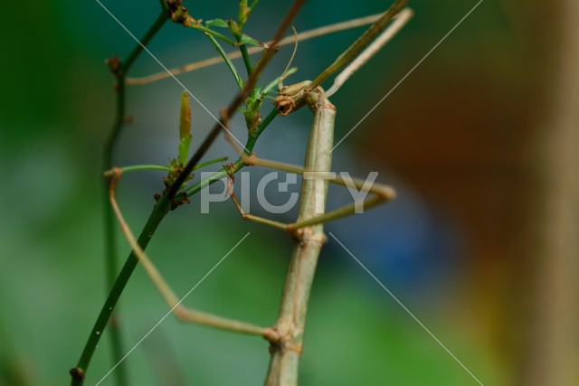 写真のタイトルが入ります