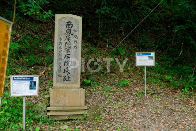 写真のタイトルが入ります