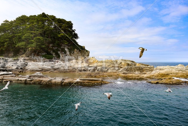三陸海岸とうみねこ