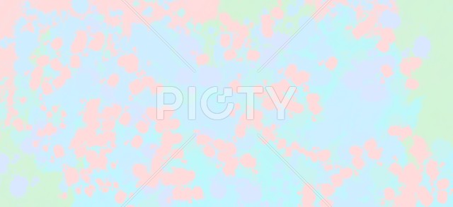 写真のタイトルが入ります