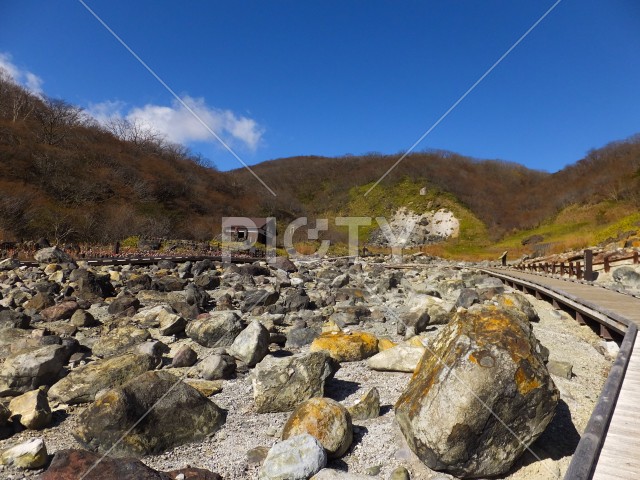 写真のタイトルが入ります