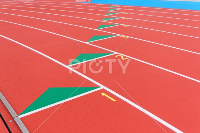 写真のタイトルが入ります