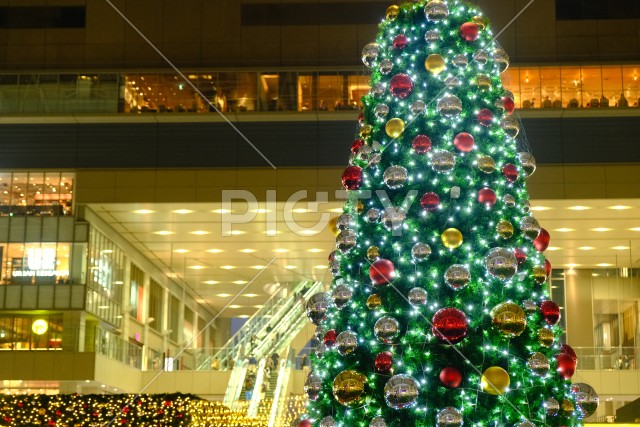 写真のタイトルが入ります