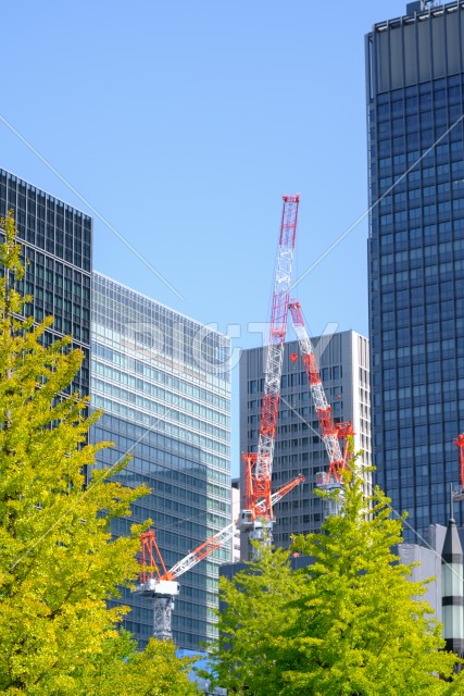 写真のタイトルが入ります