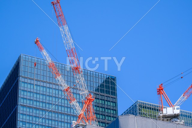 写真のタイトルが入ります