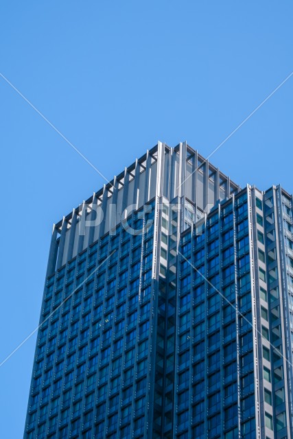 写真のタイトルが入ります